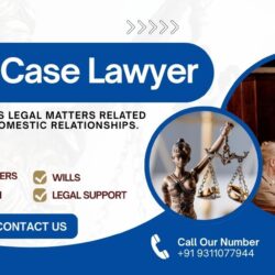Top Family Case Lawyers Near Me Paarlegal Legal Experts
