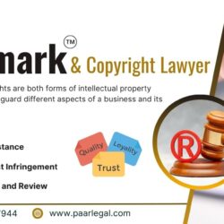 Trusted Copyright and Trademark Lawyer | Paarlegal