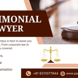 Best Matrimonial Lawyer in Delhi NCR – Paarlegal