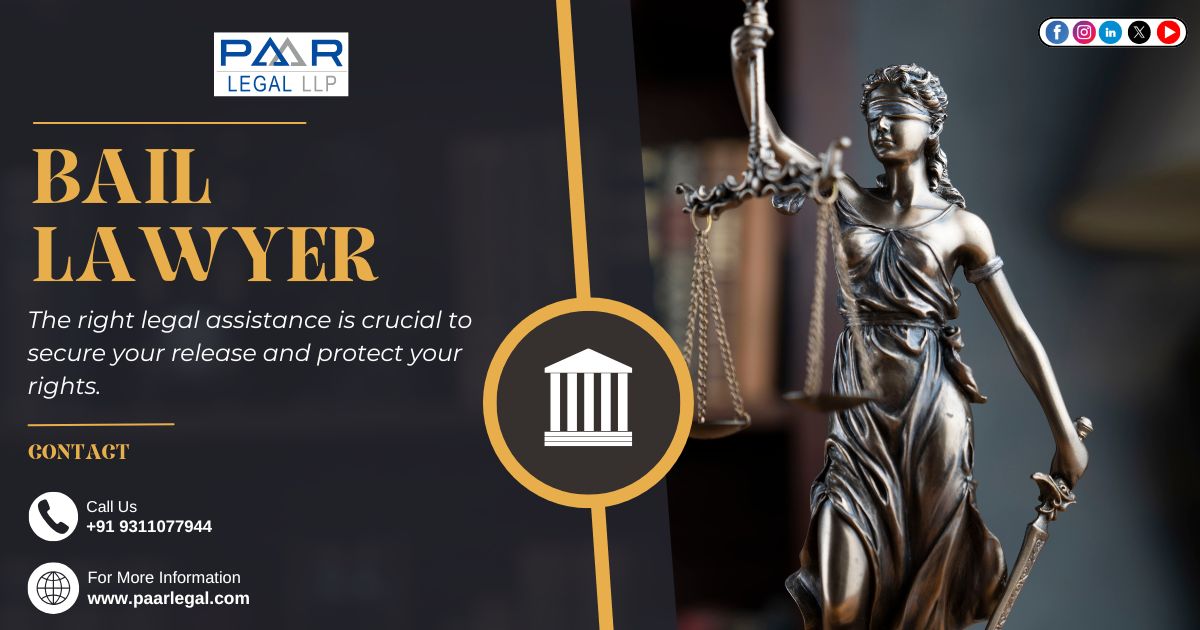 Top Lawyer for Bail in Delhi NCR | Paarlegal