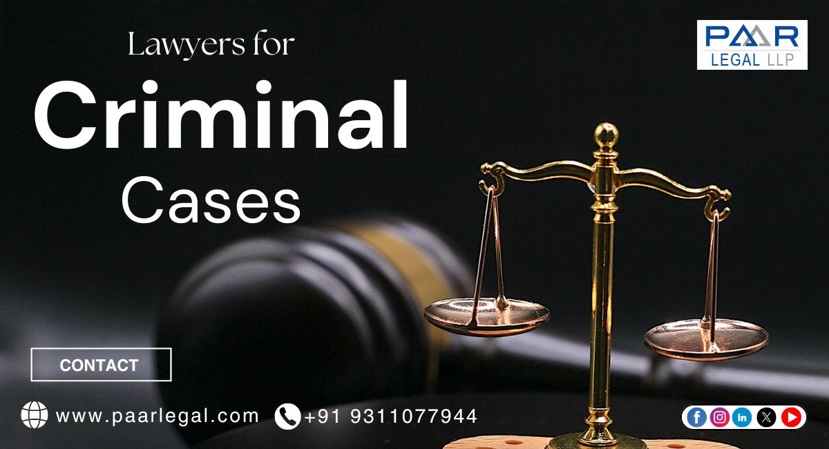 Expert Lawyers for Criminal Cases in Delhi | Paarlegal