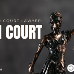 Best High Court Lawyer in Delhi | Paarlegal