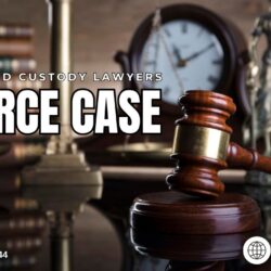 Expert Divorce and Custody Lawyers in Delhi | Paarlegal