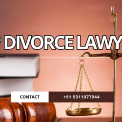 top divorce lawyers near me delhi | Paar Legal